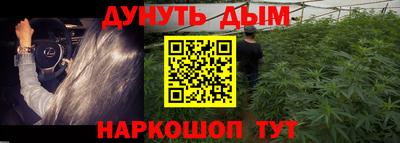 сатива Кимры