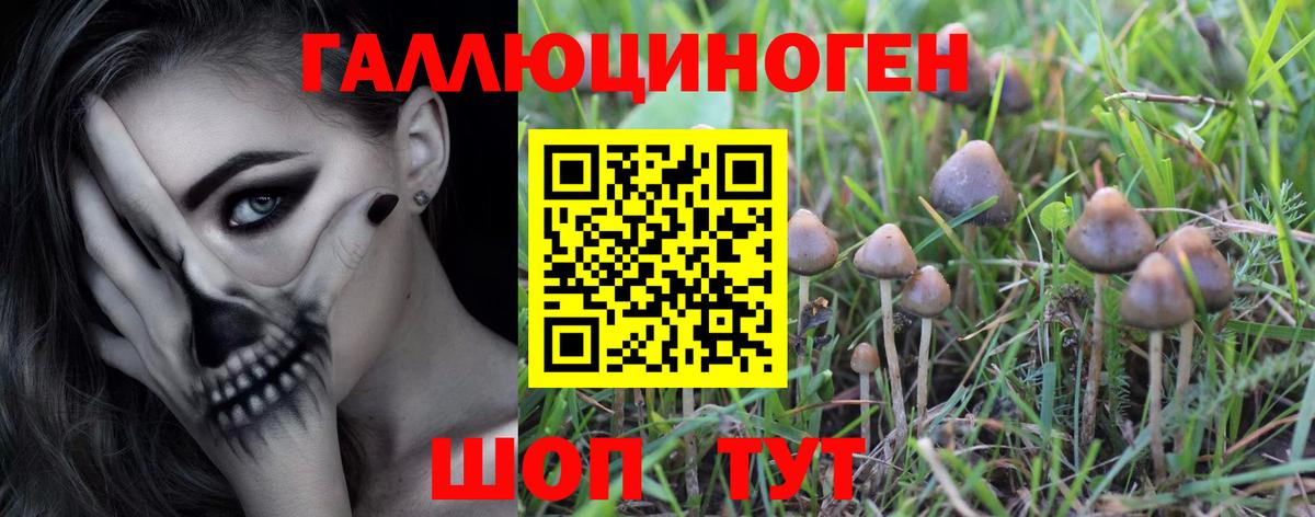 Псилоцибиновые грибы Magic Shrooms Фролово