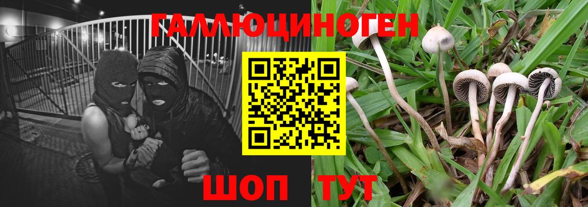 Фролово  Галлюциногенные грибы мицелий  Вход с VPN 
